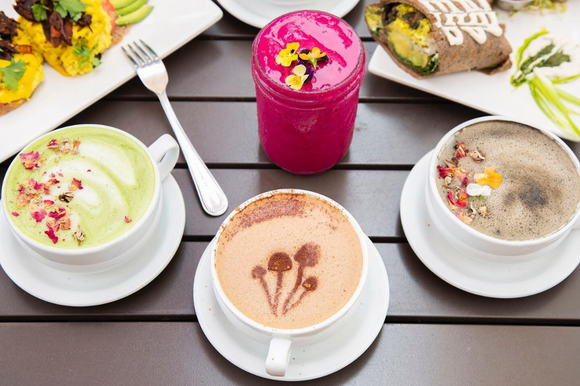 trilogy sanctuary vegan cafe