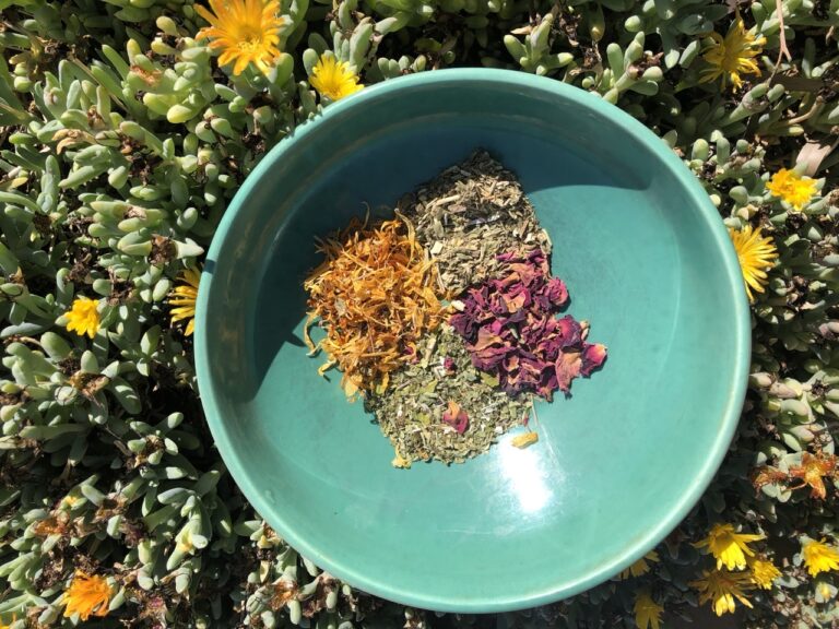 Cleansing Yoni Steam 768x576