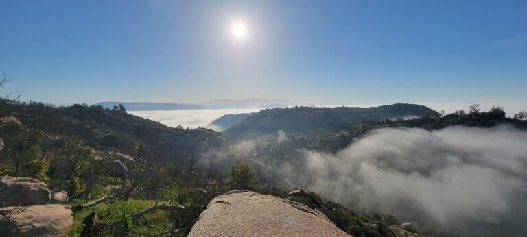 20210403 080800 768x346