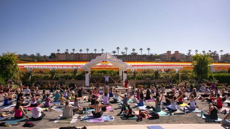 Flower Flow 2 photo 768x432