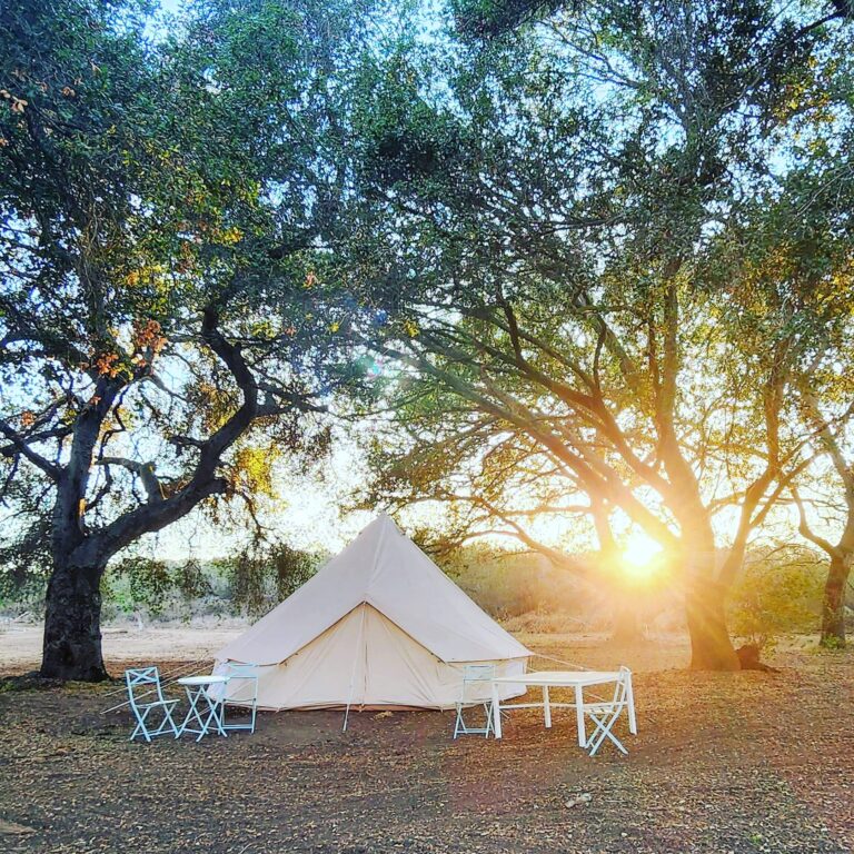 IMG 20220926 205100 289 768x768