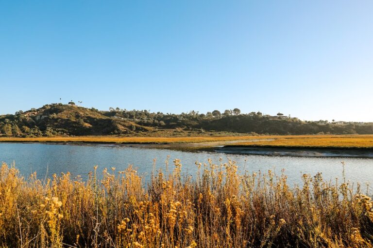 Sunset Mudflat Landscape 768x512