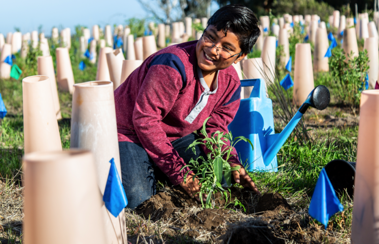 nature at work 768x495