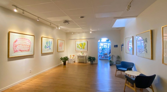 Noble Learning gallery 4