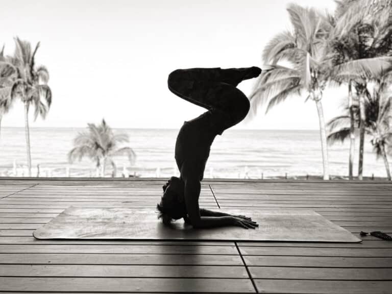 7803e97b 5109 43e0 88b8 003e0a7db0ec 2 768x576