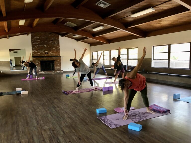 IMG 7336 copy 768x576