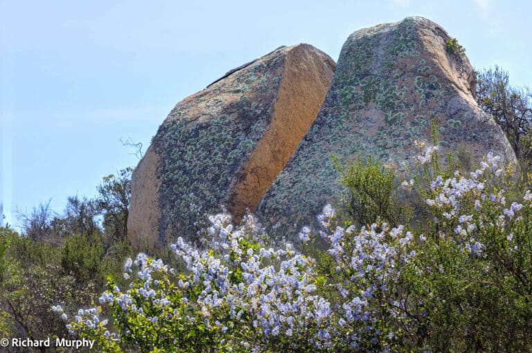 Escondido Conservancy Qigong 2 768x511