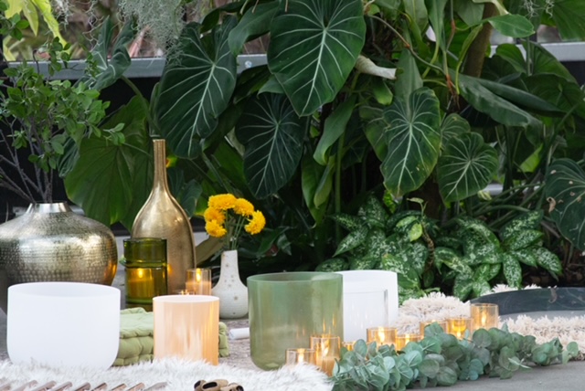 SoundHealing Promo 8