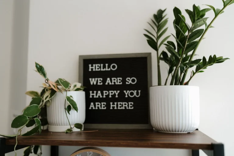 Cove Counseling Group California Therapy That Works 768x512