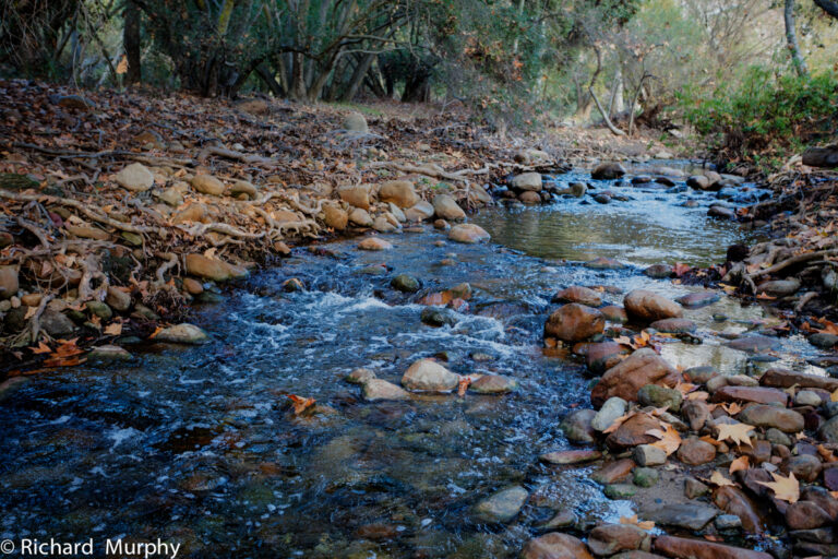 110 EC 121223 768x512