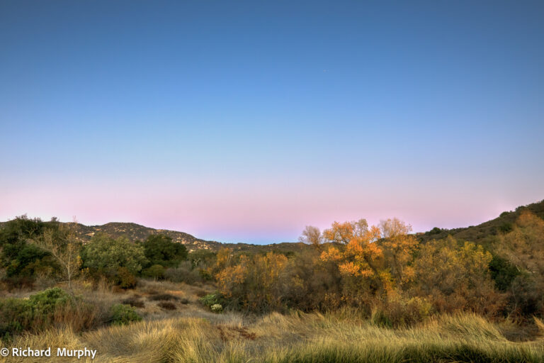 20250113 Sardina 1 768x512