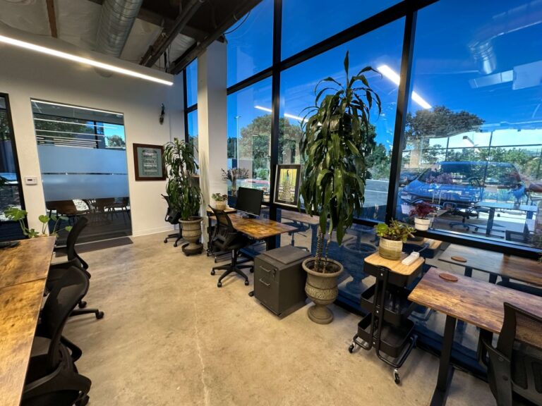 calm productive workspace for women 768x576