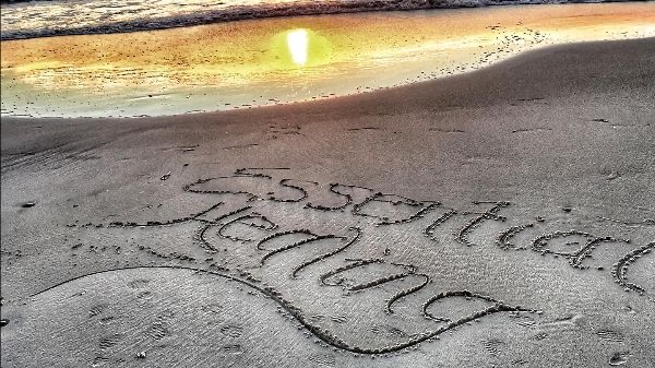 20241129 235844588 iOS