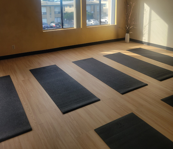 Salty Sun Myofascial 2