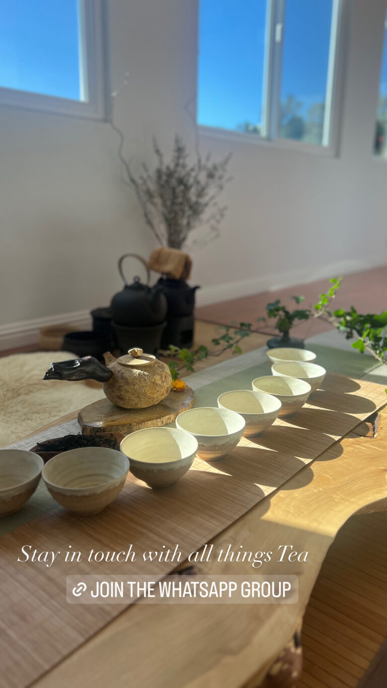 8EAA6147 C0FA 454C 9423 F331C0669609 768x1365