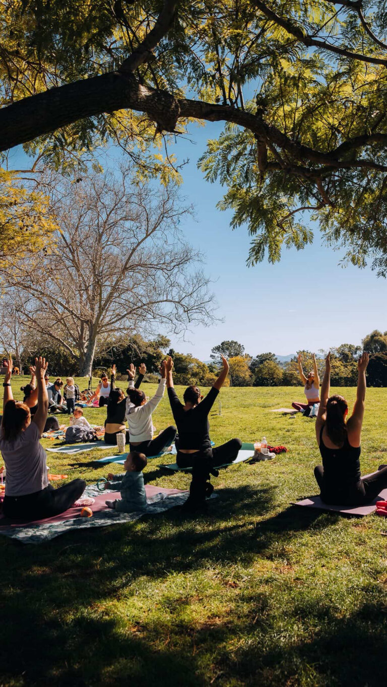 D1C2A355 D426 4707 AA60 A11A450533A1 768x1364