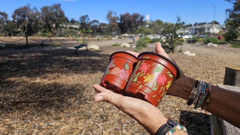 shared image 13 768x432