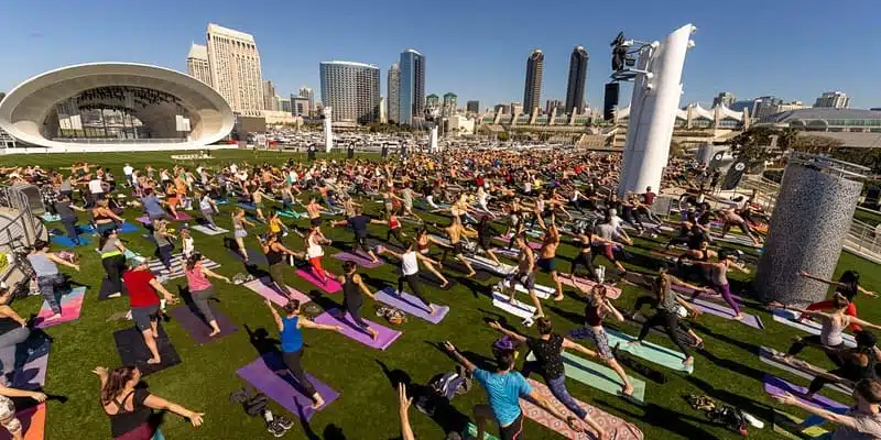 rady-shell-yoga-san-diego
