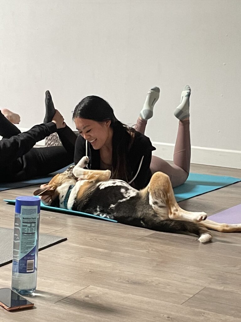 Puppy Yoga at Spirit Yoga + Barre Studios