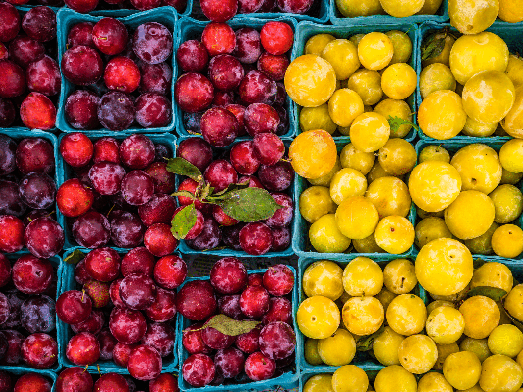 new farmers market lands in point loma