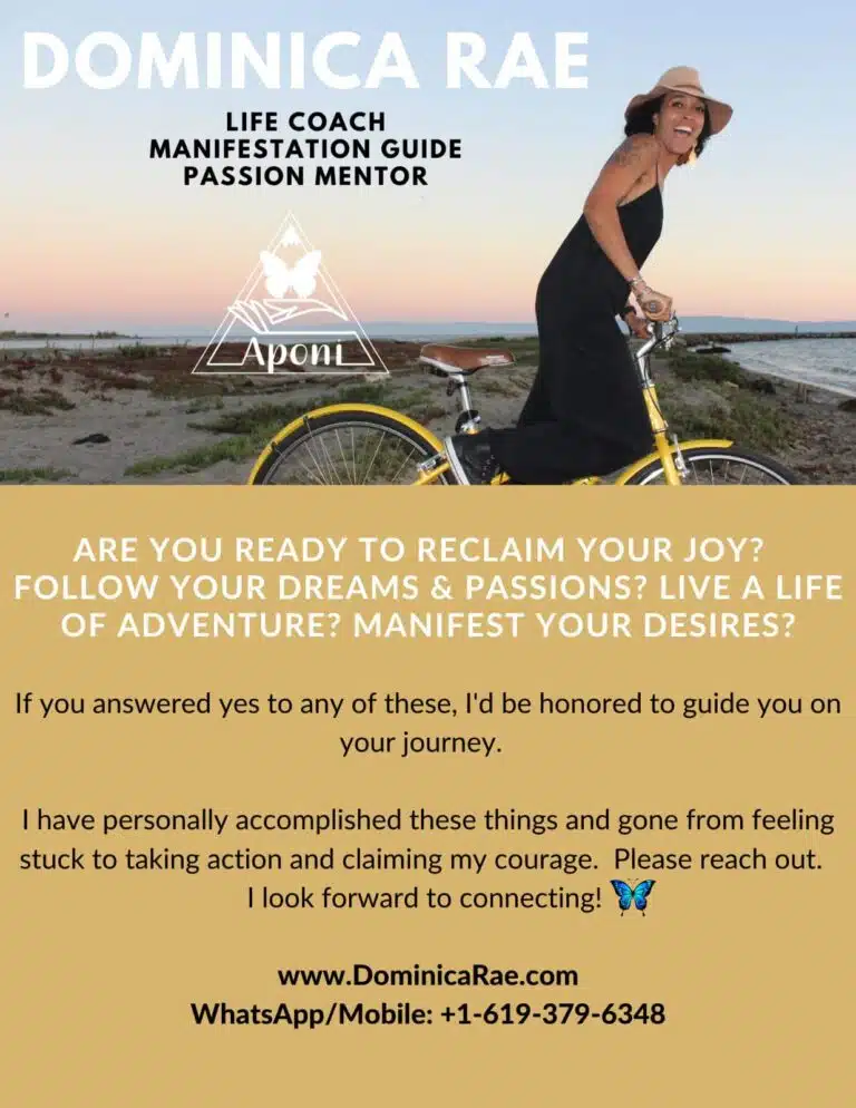 WhatsApp Image 2023 09 22 at 2.25.26 PM 1 768x994