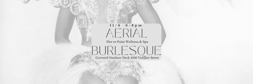Aerial Burlesque Workshop