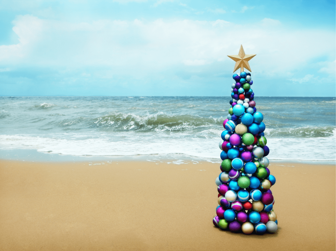 december wellness events in san diego