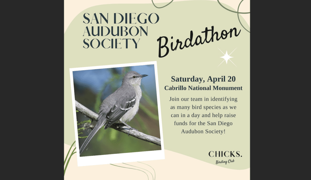 CHICKS. Birding Club: Hiking Birdathon