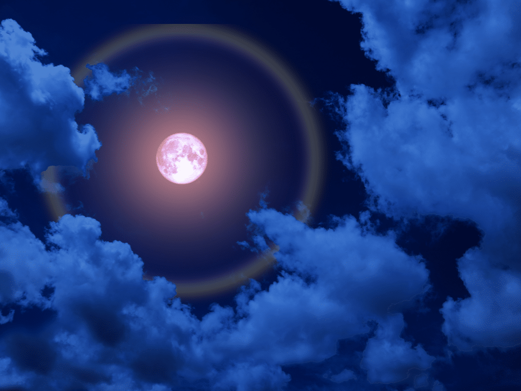 Full Moon in Taurus November 2024 Forecast LocallyWell San DIego