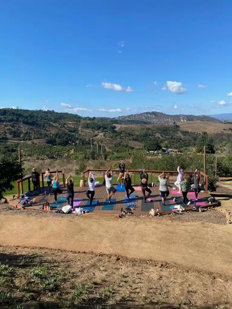 Mindfulness Yoga Retreat at Hidden Hillside