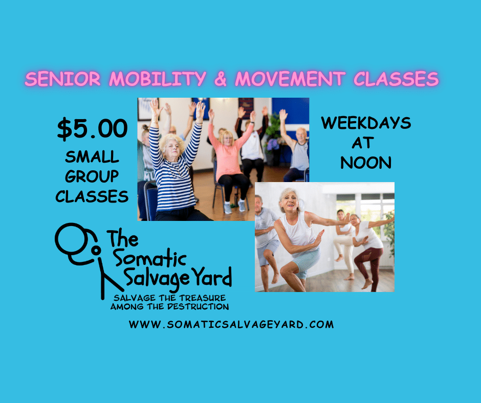 Senior Mobility & Movement Classes
