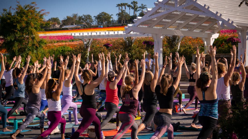 Petals and Power: Yoga Sculpt at the Flower Fields