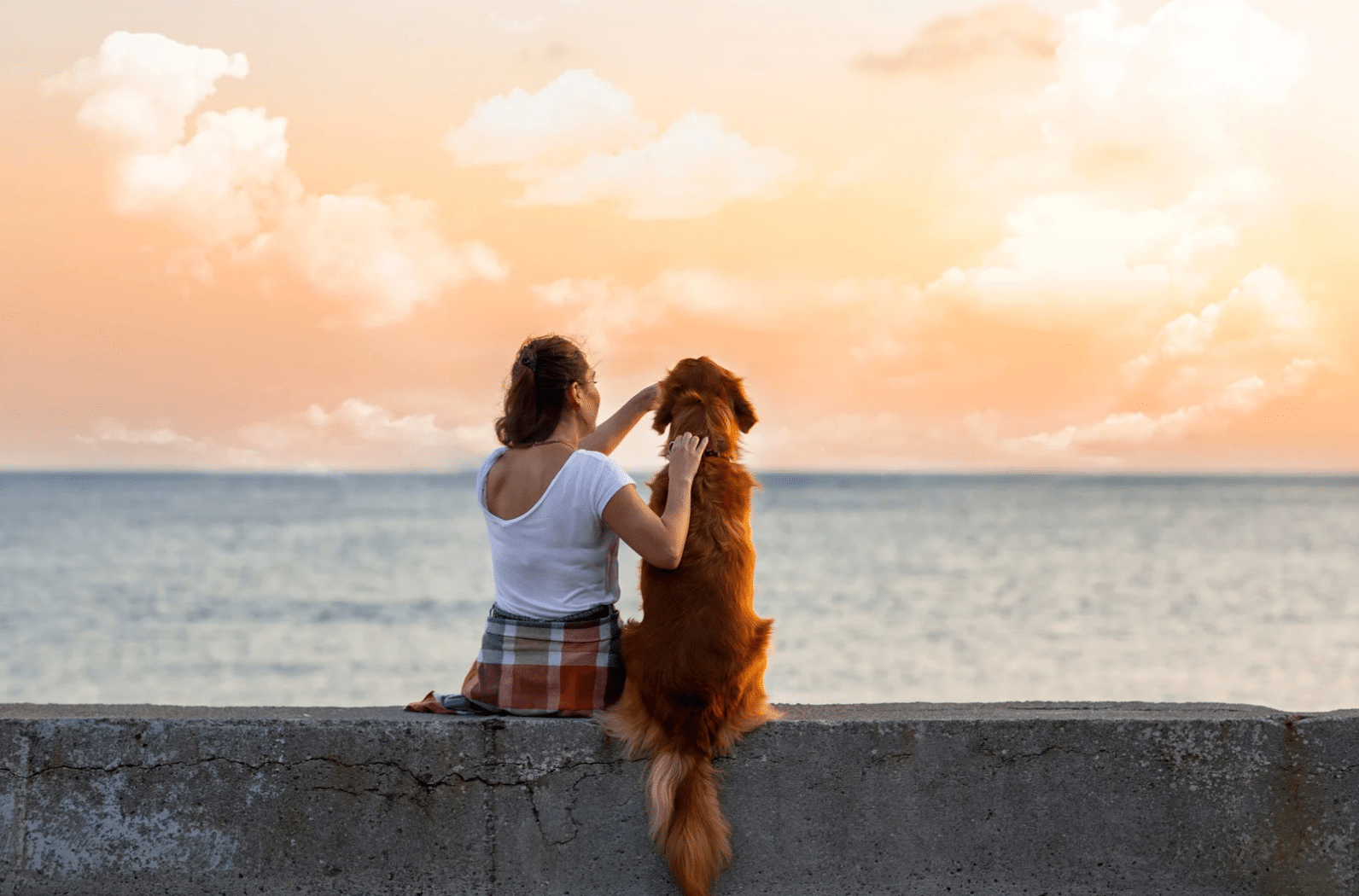 a woman sitting next to her dog on a ledge in front of the beach at sunset