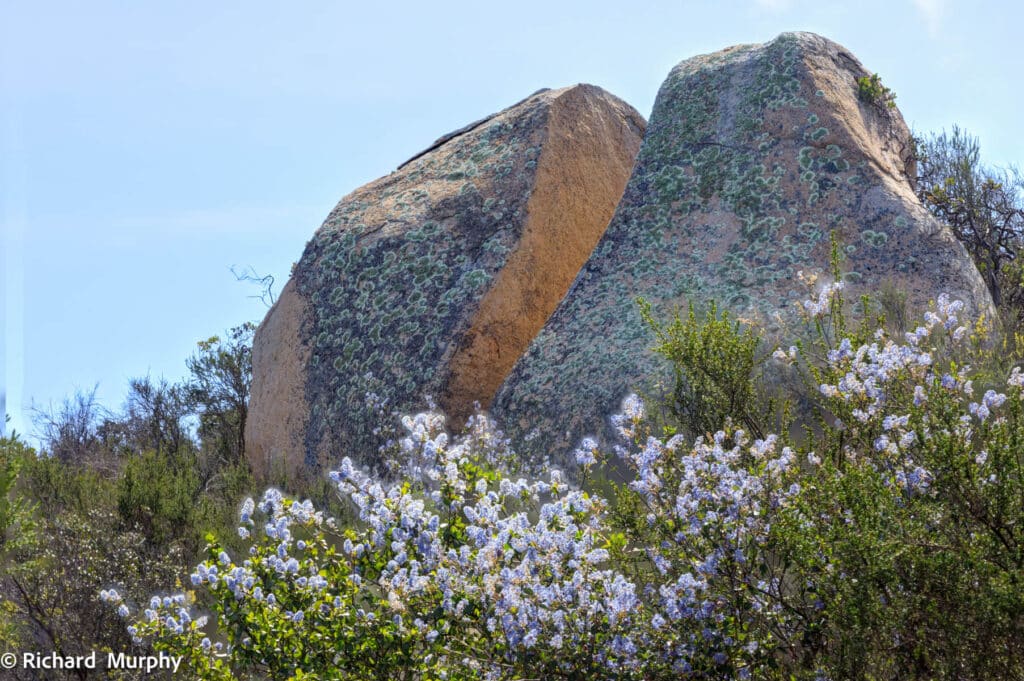 Free Qigong Class at Qigong Class at the Mountain Meadow Preserve
