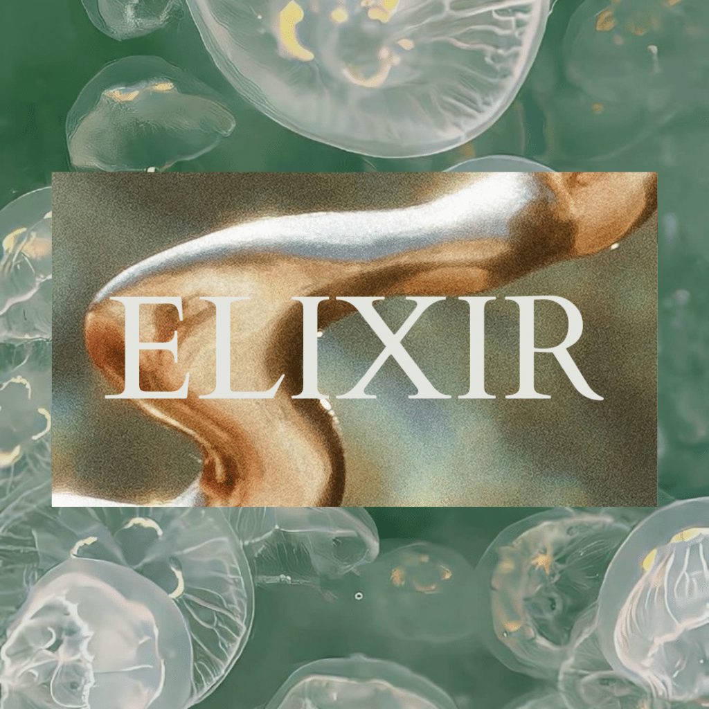 Elixir | The Realms of Transformation