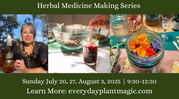 Herbal Medicine Making for Summer Fun