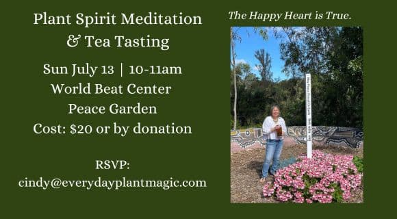 Plant Spirit Meditations & Tea Tastings