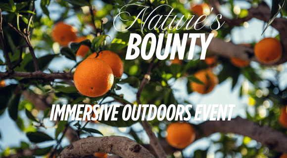 Nature's Bounty - Immersive Workshop