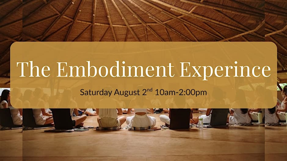 Embodiment Experience