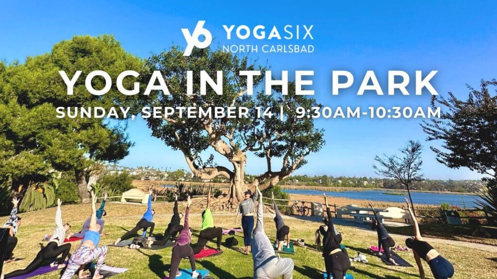 FREE Yoga in the Park