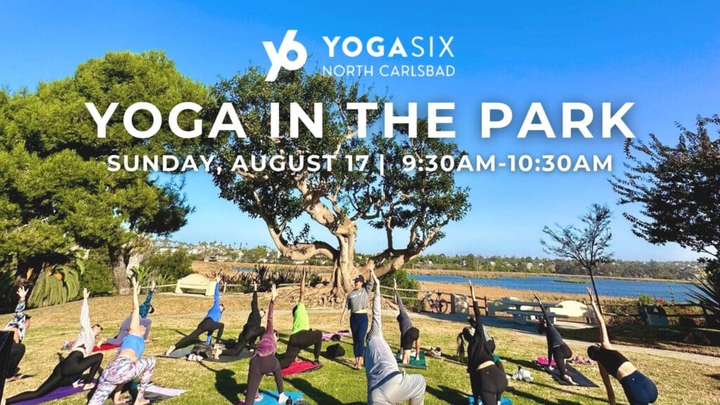 Yoga in the Park