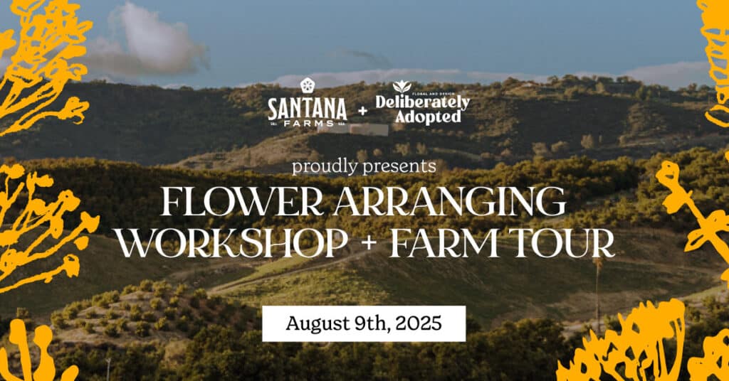 Summer Flower Arranging Workshop + U-Pick Farm Tour