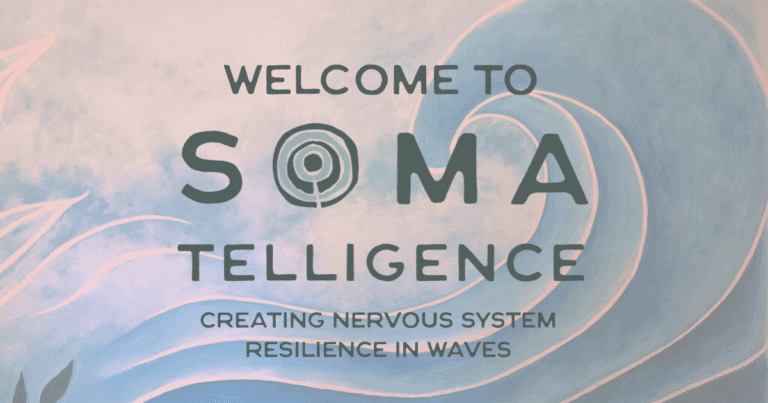 soma preview web n meta 768x403