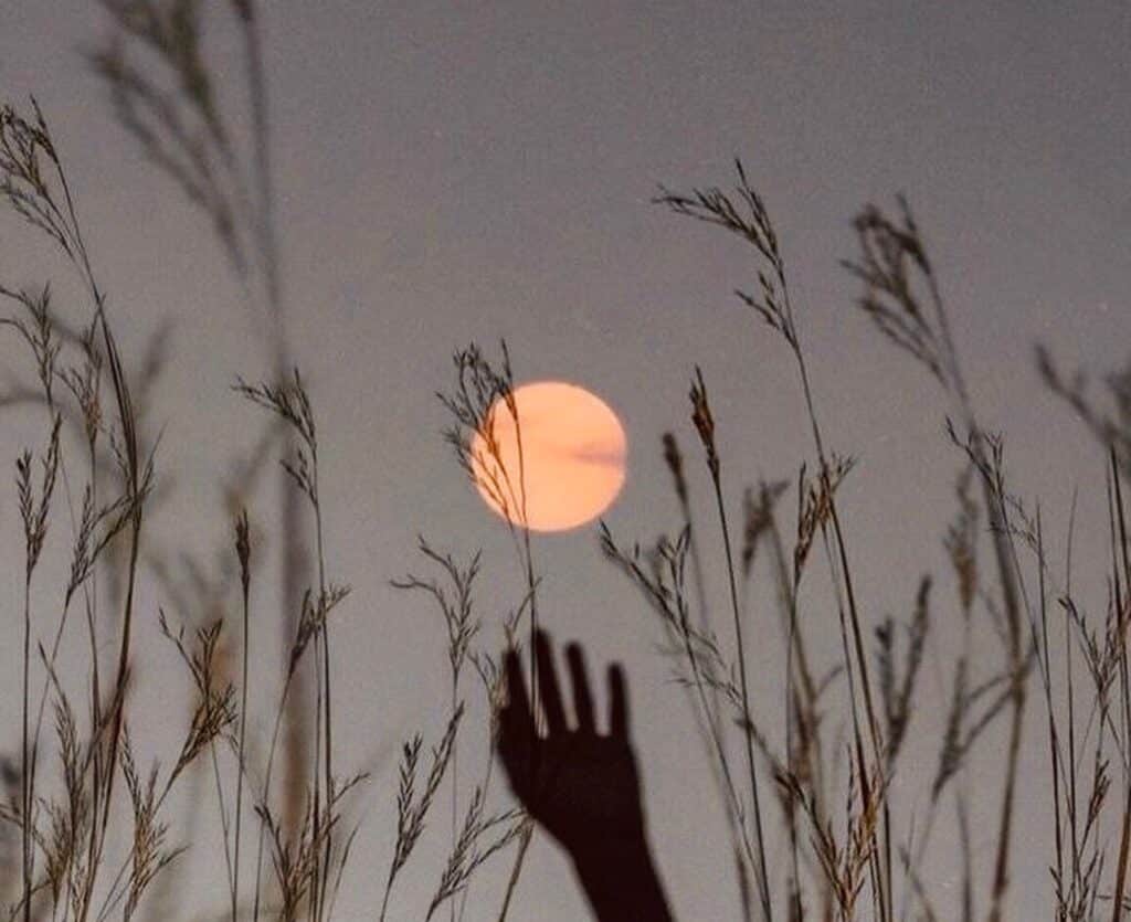 Lunar Breath: Full Moon Ceremony