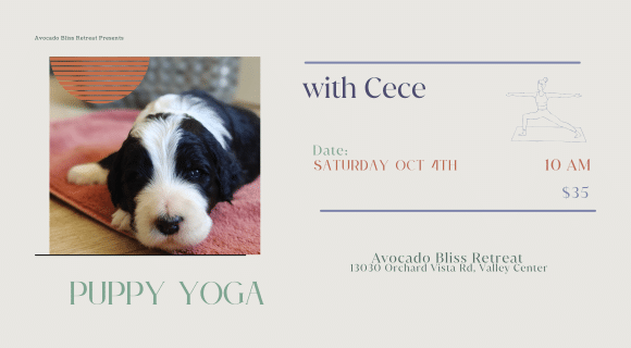 Puppy Yoga