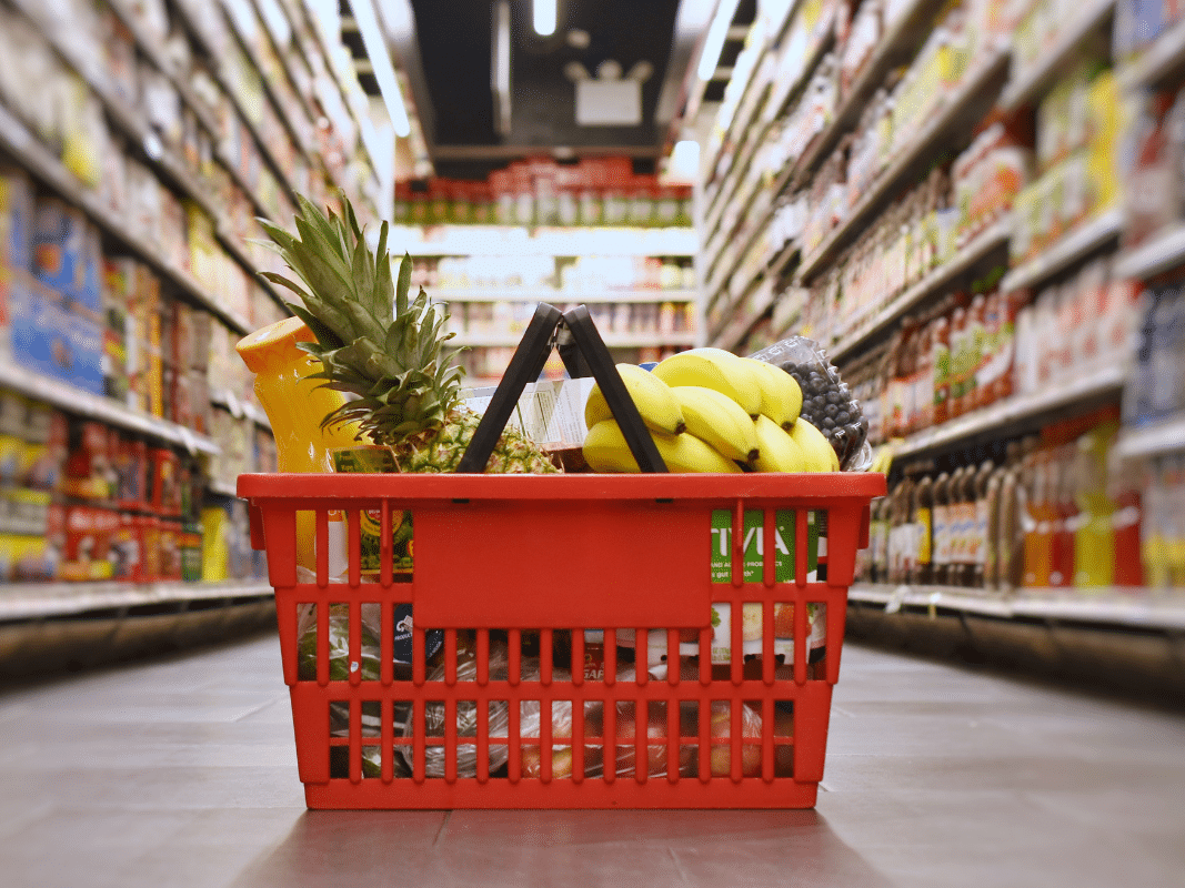 san diego food assistance