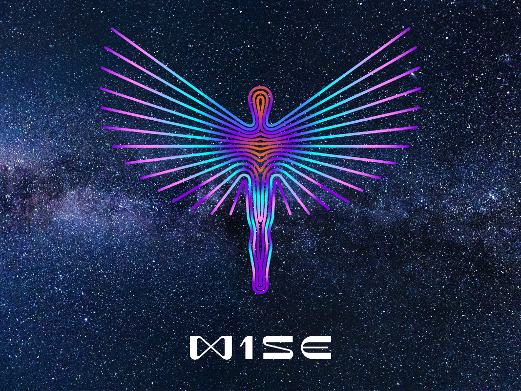 w1se san diego