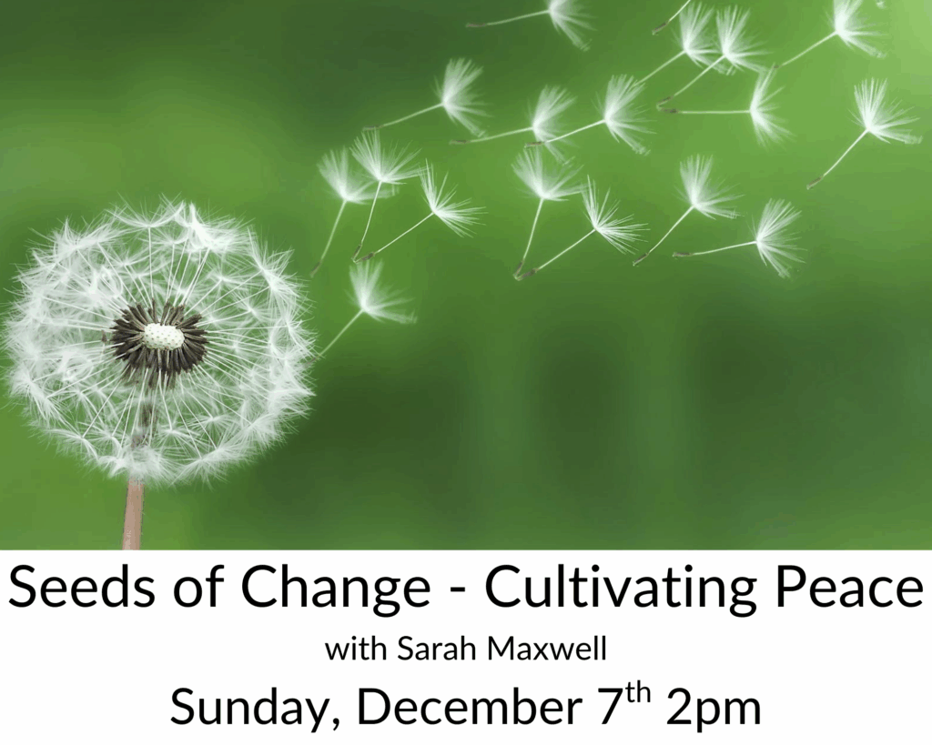 Seeds of Change - Cultivating Peace