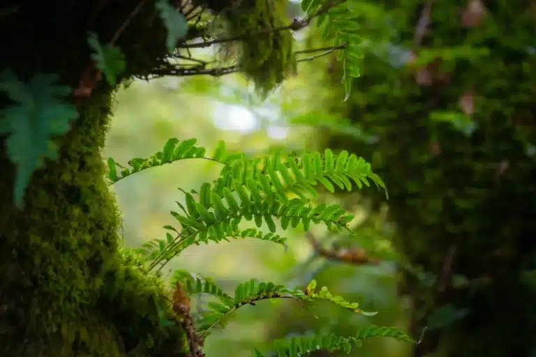 hero image compress 768x512