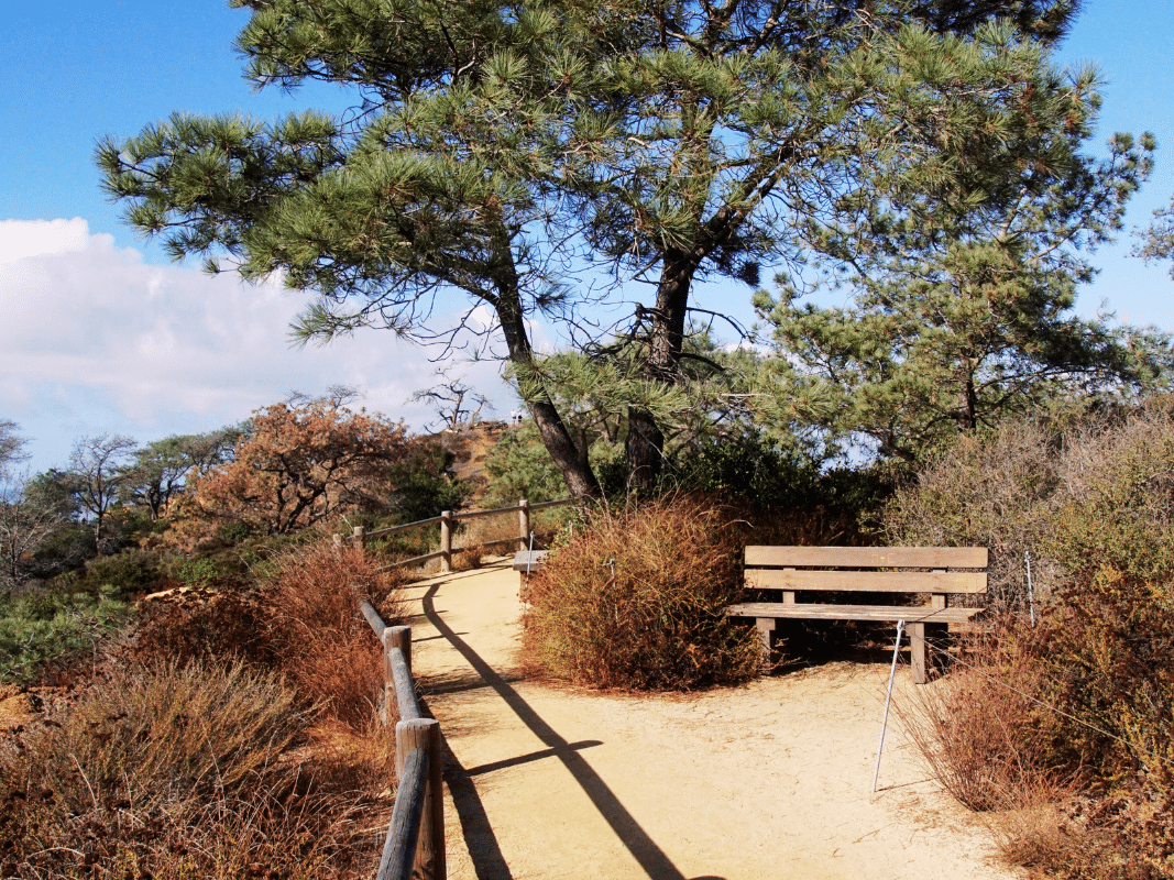 torrey pines hiking